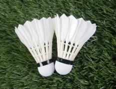 乐鱼体育app-马来西亚羽毛球队力克法国羽毛球队，林丹爆发神勇