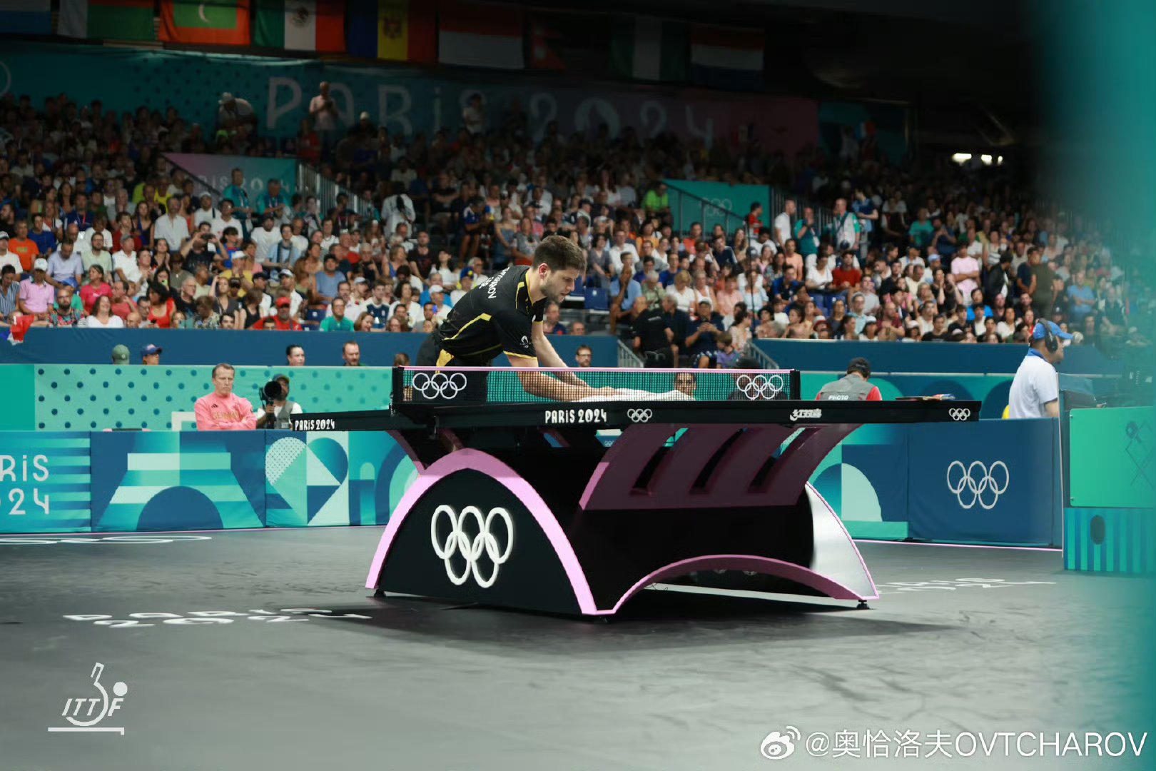 乐鱼体育-关于比利时乒乓球队翻盘波兰乒乓球队,奥恰洛夫高光表现的信息