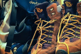 乐鱼体育app-奇才爆冷魔术,阿德巴约三分雨点燃全场